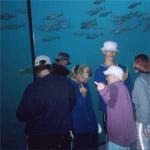 aquarium Alesund