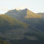 loipoldhof_gamskar