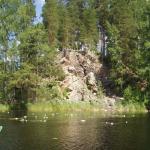 Saimaa seerosen