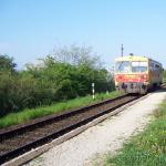 Ferkeltaxe DWM07