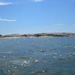 schaereninsel Sw08