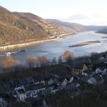 Bacharach RH08