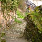 Weg zur Burg SMR08