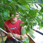 Peppi im Baum FK09