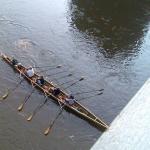 Ruderboot auf dem Wesermarathon 09