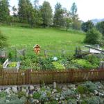 Gemuesegarten Loipoldhof 10
