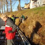 Barke Pirna Eleb 11