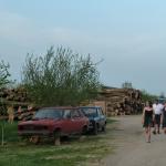 Karavukovo Ruderer auf der Strasse Donau 2012