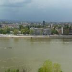 Vierer in Novi Sad Donau 2012
