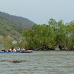 Vierer in Wellen Donau 2012