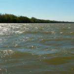 Wind auf der Donau 12