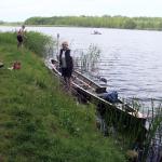 Ruppiner See _2012