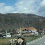 Ochsenkarren im Gegenverkehr Donau 2013