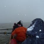 Schneesturm 70km Donau 2013