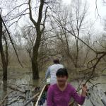 kleiner Ausflug ins Gestruepp Donau 2013