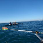 mittelmeer nach palavas 2014