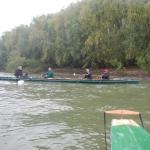 donauufer mit ruderboot donau 20104