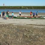 Sandbank im Po mit Ruderbooten Po 2014