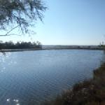 lagune von venedig teiche po 2014