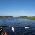 Narew fast ohne wasser polen 2015