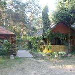 Quartier mitten im Wald bei Pultusk 2015