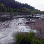 pause am strand der narew 2015