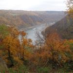 Blick aufs Rheintal von der Loreley aus 2015