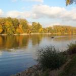 Mainz Rhein 2015