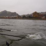 Ruderboot in Koblenz 2015