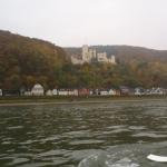 wieder eine Burg im Rheintal 2015