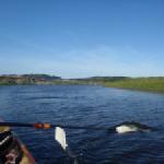 Ruderboot auf der Narew vor Lomza 2015