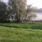 Anlegestelle Rovigio Blog Po 2017