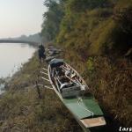 Ruderboot im Uferdickicht des Po 2017