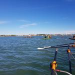 Ruderboote auf dem Mittelmeer Midi 2018