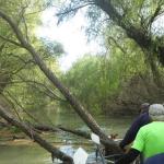 Kanal Crasnicol Donaudelta 2019