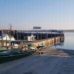 Boote im Yachthafen Pila Po 2020