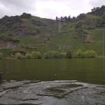 Weinberge bis zum Bergkamm Mosel 2019