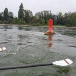 Tonne in der Strömung Rhein 2021