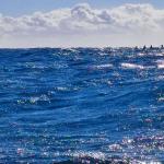 Inrigger in grossen Wellen Mittelmeer 2022