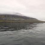 Island Nordfjord Neskaupstadur Inrigger Ruderboote 2022