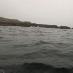 Island Nordfjord Neskaupstadur Inrigger Ruderboote vor dem Kap 2022