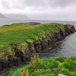 Vogelfelsen bei Borgarfjördur Island 2022