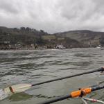 Schleppzug auf dem Rhein 2024