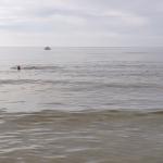 Badestrand Dzwinow 2024