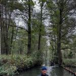 Enger Graben im Spreewald 2024